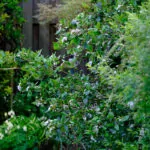 Testfoto Fujifilm XF70-300mm F4-5.6 R LM OIS WR