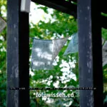 Testfoto Fujifilm XF70-300mm F4-5.6 R LM OIS WR