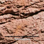 Testfoto Fujifilm XF70-300mm F4-5.6 R OIS Ausschnitt 1/30 s