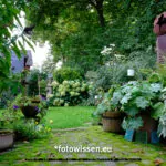 Testaufnahme GFX 50S II - 210913-5128-c1