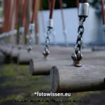 Testaufnahme GFX 50S II - 210913-5157-c1