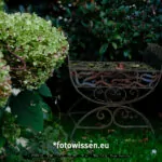 Testaufnahme GFX 50S II - 210913-5174-c1
