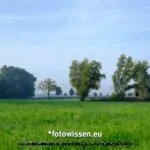 Testfoto Kamera Test GFX 50S II - 210913-5000-c1-2