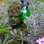 Testfoto Kamera Test GFX 50S II – 210914-5091-c1