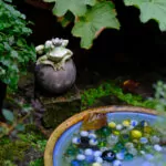 Testfoto Kamera Test GFX 50S II –
