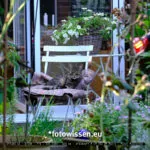 Testfoto Kamera Test GFX 50S II - 210918-6012-c1