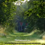 Testfoto Kamera Test GFX 50S II - Ausschnitt - 210913-5176-c1 1