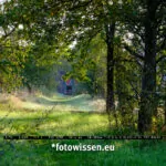 Testfoto Tamron 18-300mm für Fuji X-System