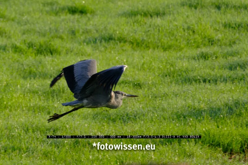 Testfoto Tamron 18-300mm für Fuji X-System - 211018-5079 Testfoto Tamron 18-300mm für Fuji X-System - 211018-5079