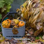 Canon EOS R5 Vollformat - APS-C versus Vollformat versus Mittelformat - Sensoren Vergleichstest