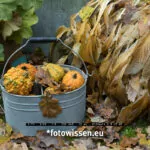 Fujifilm X-T4 APS-C Sensor - Vergleich 3 Kameras und 3 Objektive