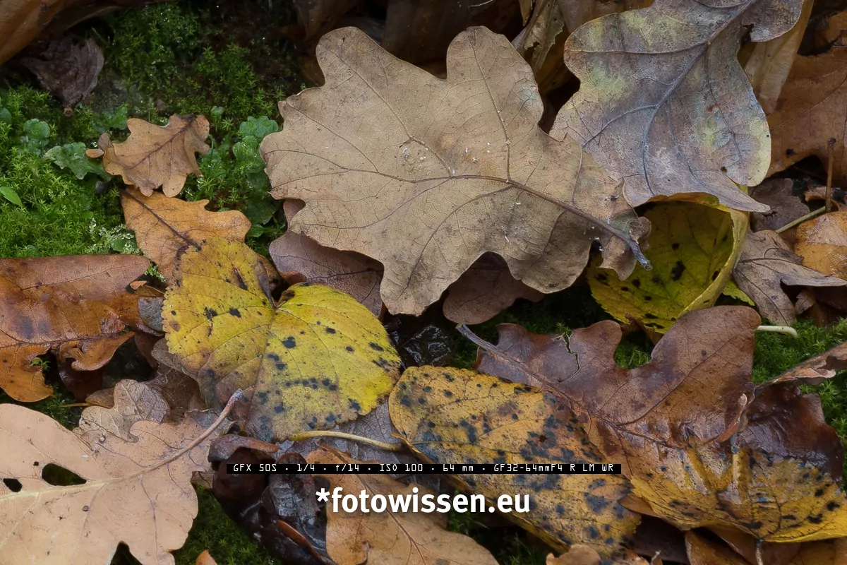GFX 50S Mittelformat Sensor - Ausschnitt - APS-C versus Vollformat versus Mittelformat - Sensoren Vergleichstest