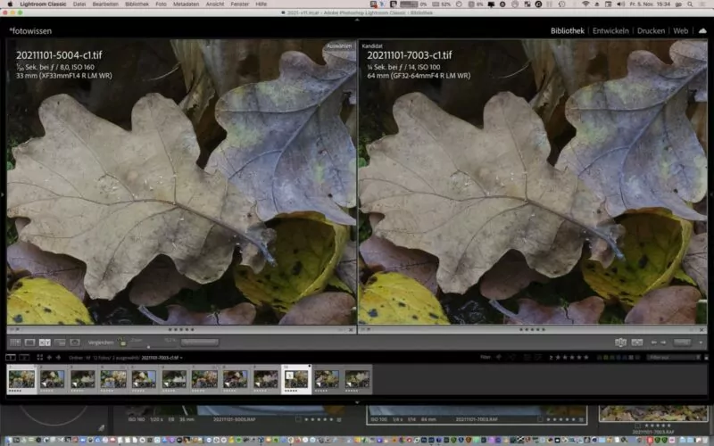 Vergleich APS-C versus Mittelformat (X-T4 versus GFX 50S) Vergleich APS-C versus Mittelformat (X-T4 versus GFX 50S)