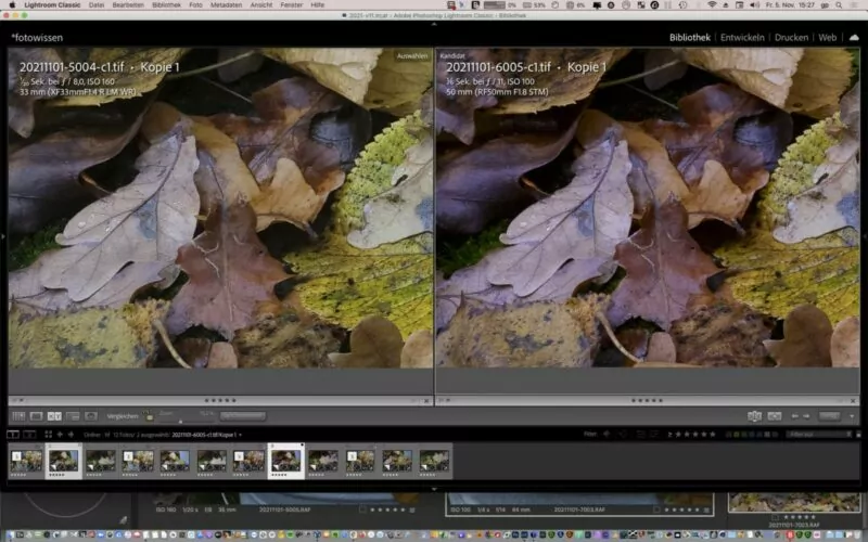 Vergleich APS-C versus Vollformat (X-T4 versus EOS R5) Vergleich APS-C versus Vollformat (X-T4 versus EOS R5)