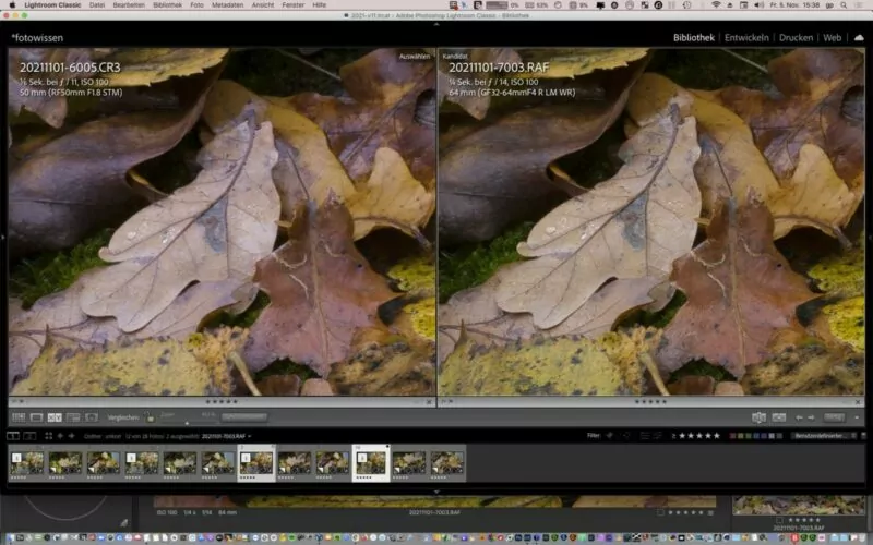 Vergleich Vollformat versus Mittelformat (EOS R5 versus GFX 50S) Vergleich Vollformat versus Mittelformat (EOS R5 versus GFX 50S)