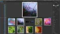 Beste Bildbearbeitung Software für Fotografen - DxO PhotoLab