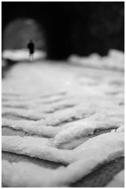 Spur im Schnee und Mister X - Foto: Frank Seeber - *fotowissen Bild der Woche