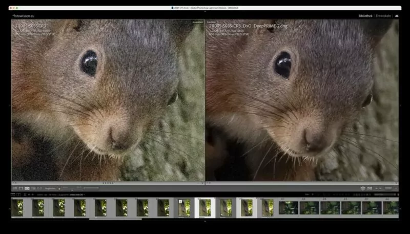 12.800 ISO DxO PureRAW 2 mit DeepPrime