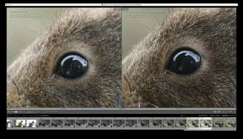 Vergleich Vorher Nachher mit DxO PureRAW 2 - Fell Vergleich Vorher Nachher mit DxO PureRAW 2 - Fell