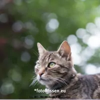 Bokeh Eckige Lichtkreise