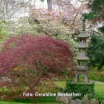 Gemeinsam Fotografieren Foto Geraldine Roskothen 220415-5014