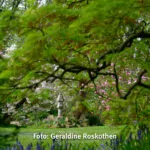 Gemeinsam Fotografieren Foto Geraldine Roskothen 220415-5025