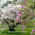 Gemeinsam Fotografieren Foto Geraldine Roskothen 220415-5032