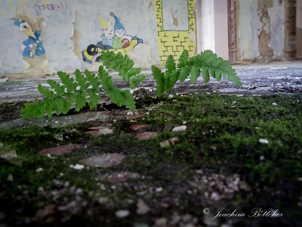 Kent School, Lost Places