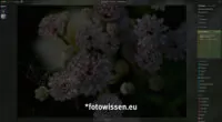 Luminar Neo Noiseless AI / Rauschfrei AI Berechnung