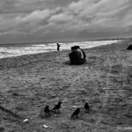 (31) Negombo, Strand - Sri Lanka im Aufruhr