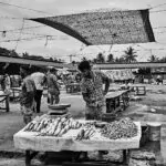 (32) Negombo, Fischmarkt - Sri Lanka im Aufruhr