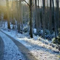 Die perfekte Brennweite und der eigene Blick in die Welt