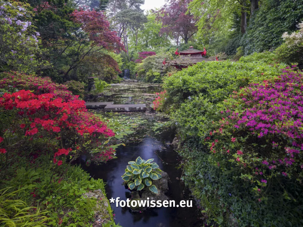 Gartenfotografie Compton Acres UK