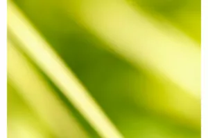 Geheime Kameras, Fotografie und Philosophie