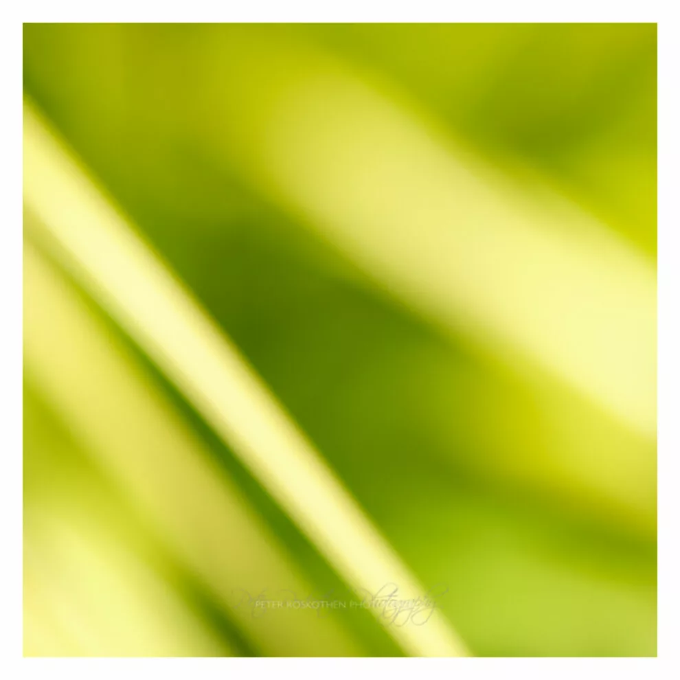 Geheime Kameras, Fotografie und Philosophie