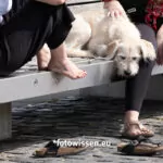 fotografieren im grellen mittagslicht 210815 5291