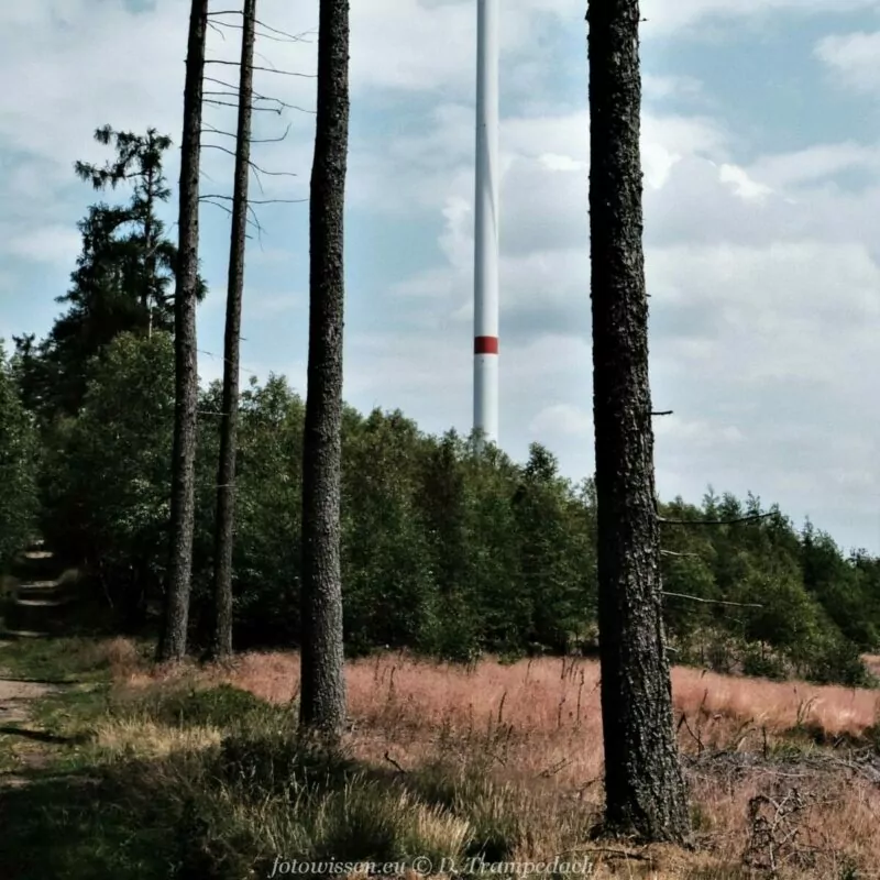 Wem müssen unsere Fotos gefallen? Freude an eigener Fotografie